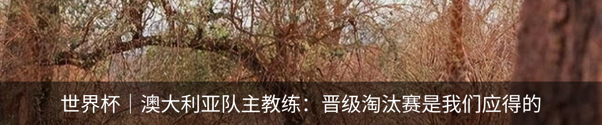 资讯中心